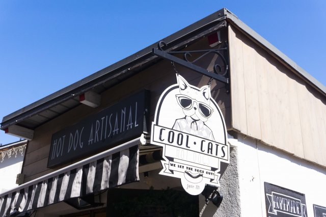 Luxurious Lunches at Cool Cats 